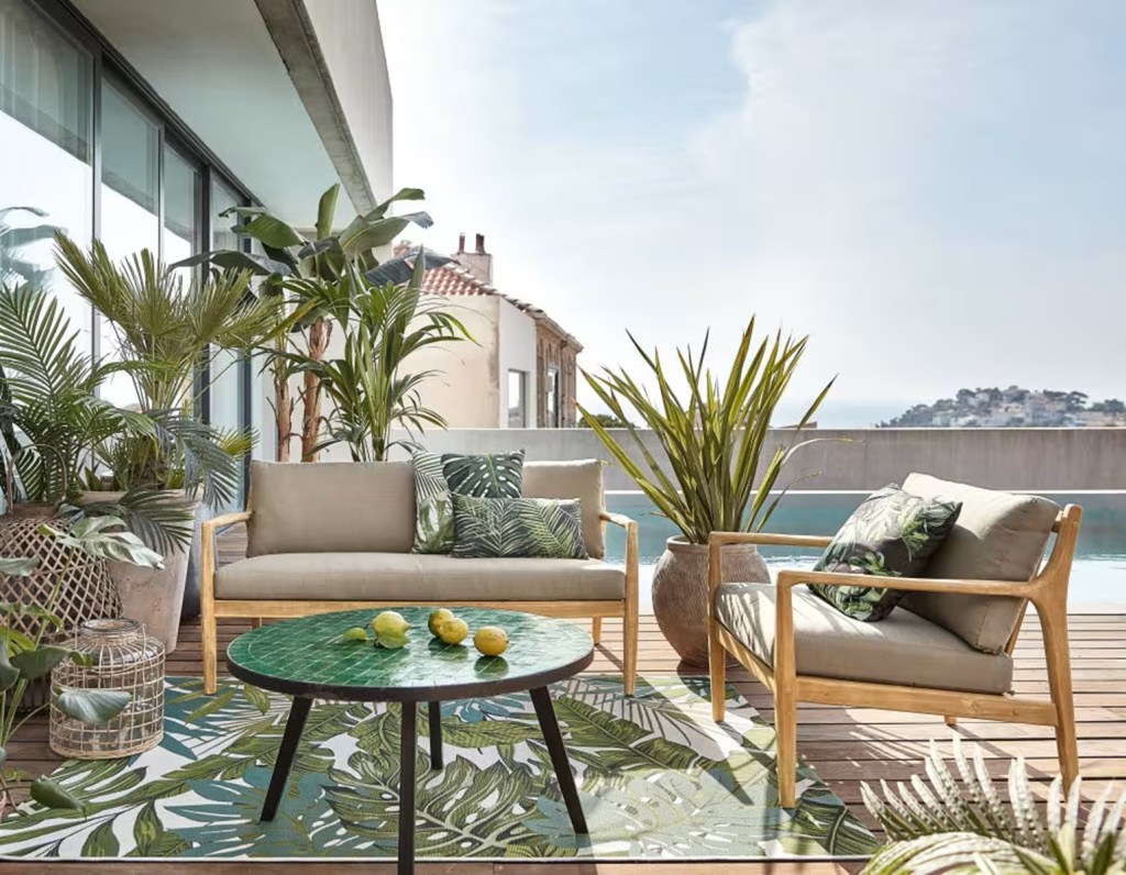 Plantas exóticas para decorar los espacios&nbsp;exteriores